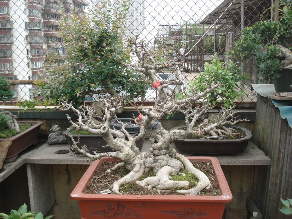 DSC01946.JPG