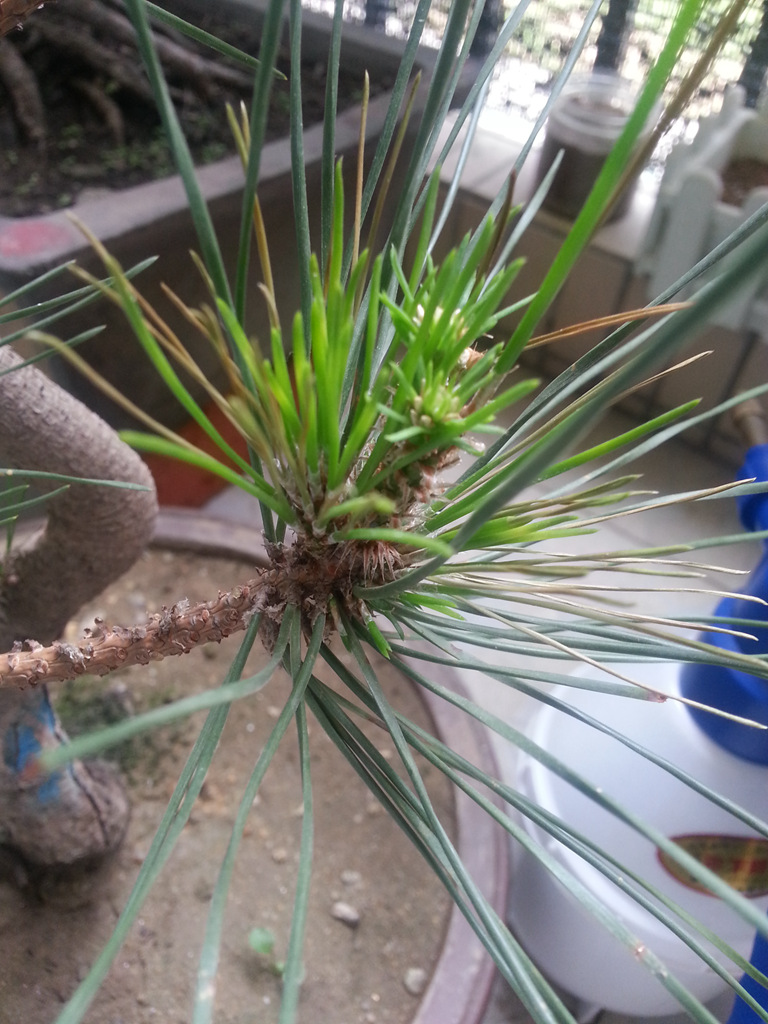 20140609_123736_.jpg