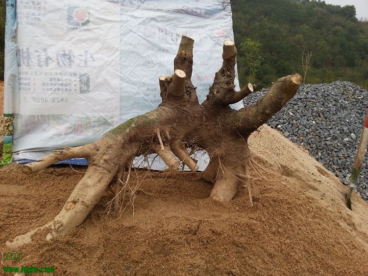 20140316_113024.jpg
