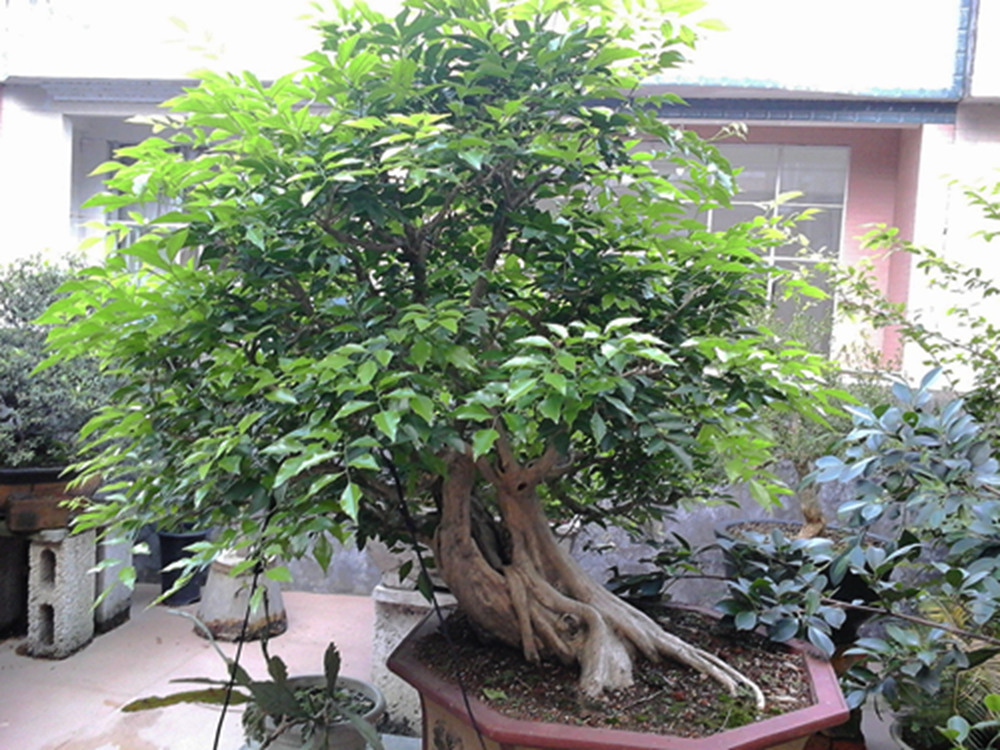 20140609_184607_.jpg