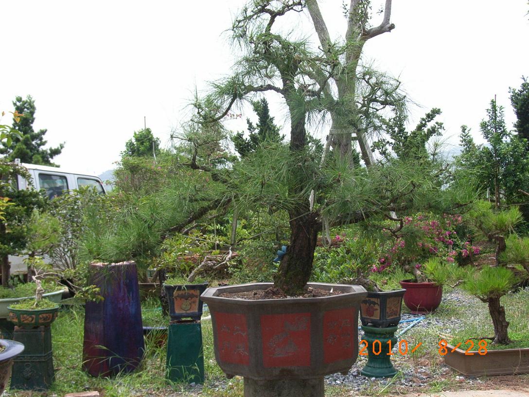 2010.08.28.jpg