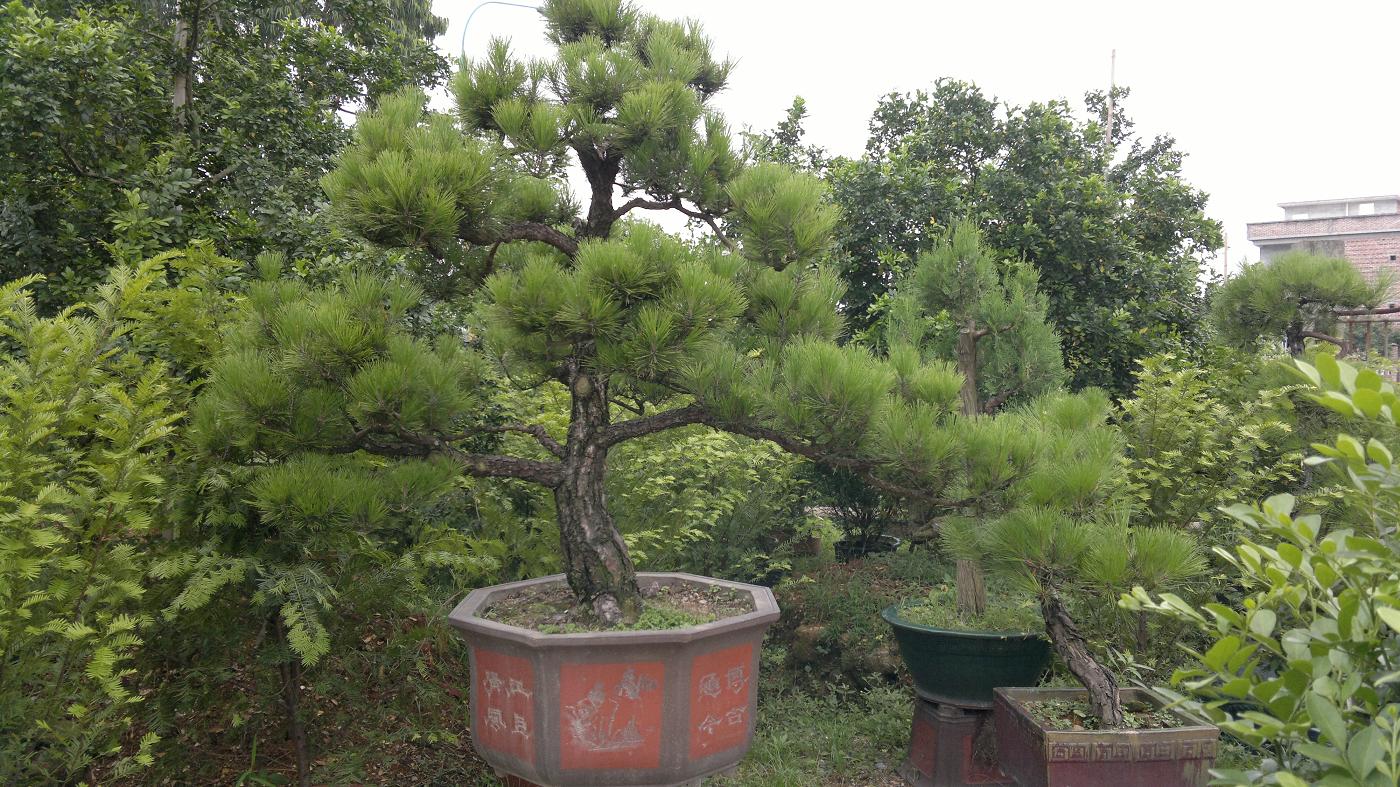 20110608473.jpg