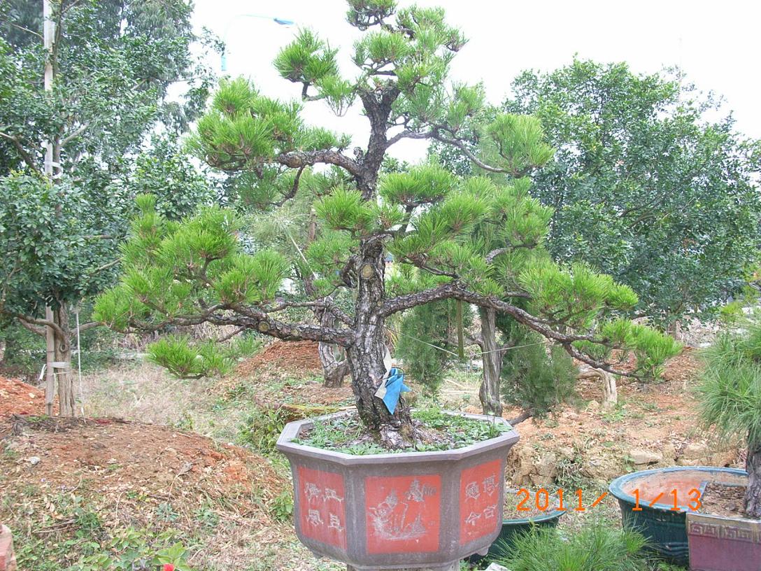 2011.1.13 021.jpg