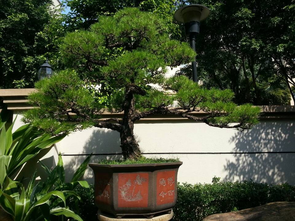 QQͼƬ20140612223647.jpg