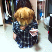 VU`_R@GBW17RV8QRU]G]LYA_55555.jpg