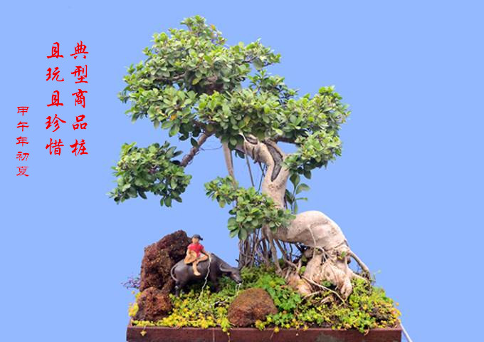 184501iaul2pcaw1k4sq1w.jpg.Ʒ׮thumb[1]_.jpg