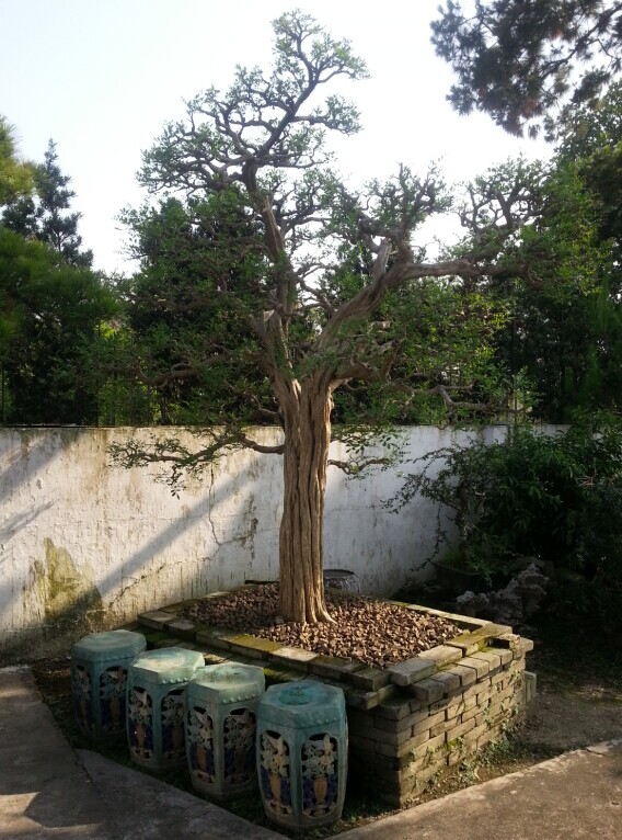 QQͼƬ20140613012553.jpg