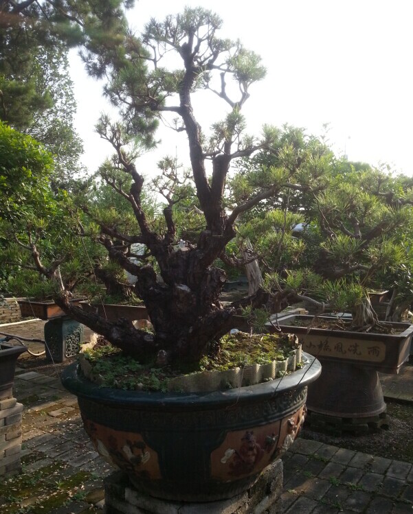 QQͼƬ20140613012707.jpg
