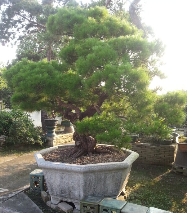 QQͼƬ20140613012740.jpg