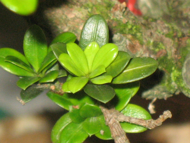 IMG_8584.JPG