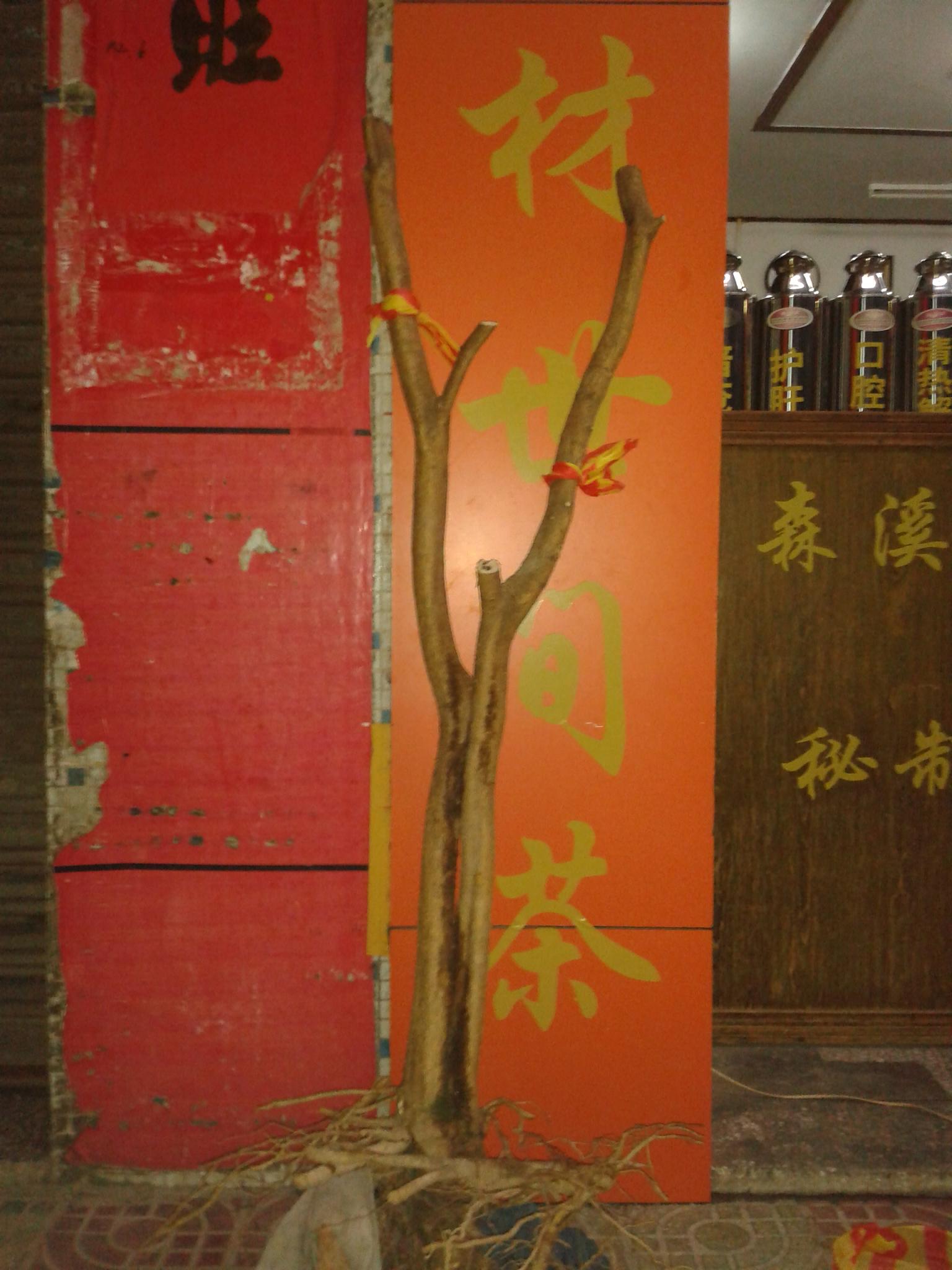 20140613_204043.jpg