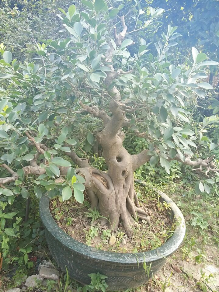 QQͼƬ20140616203703.jpg