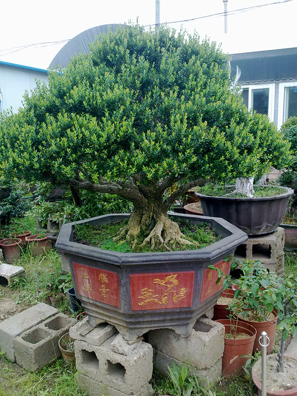 20140616298.jpg