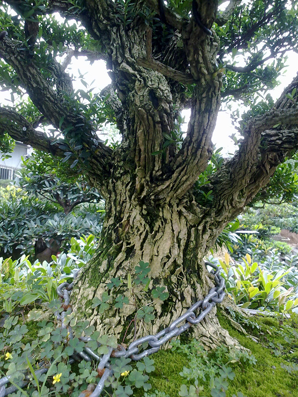 20140616302.jpg