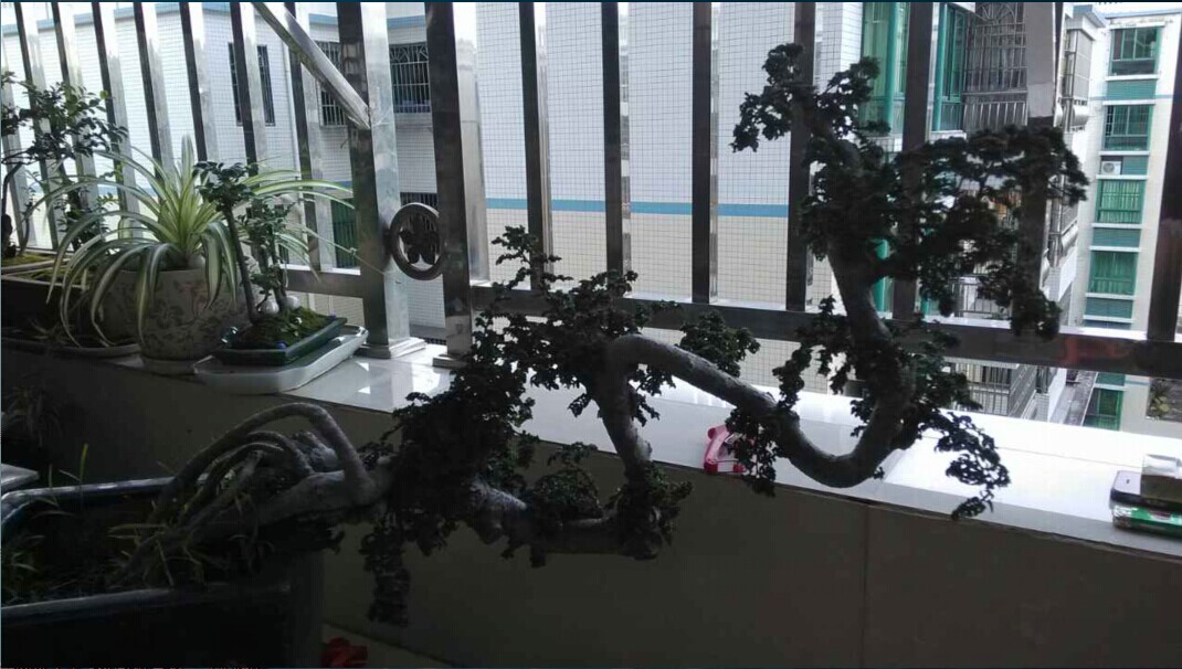 QQͼƬ20140618105911.jpg