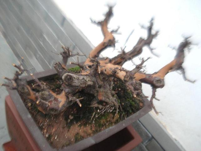DSC03190.jpg