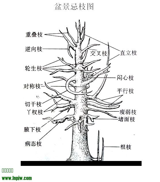 辰֦ͼ.jpg