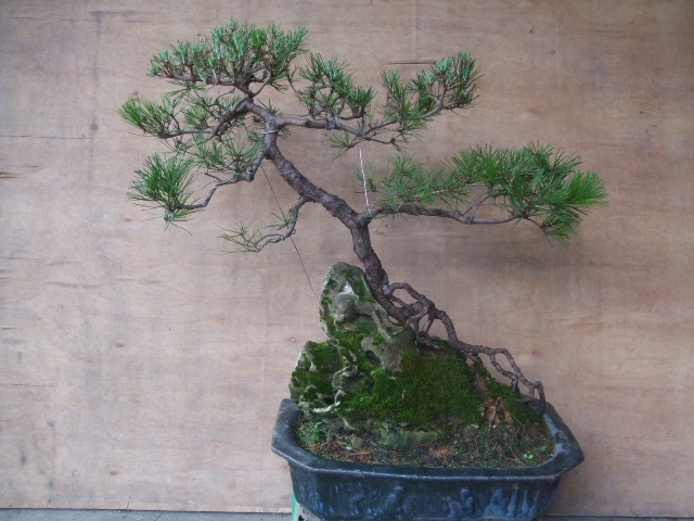 DSCF0125.JPG