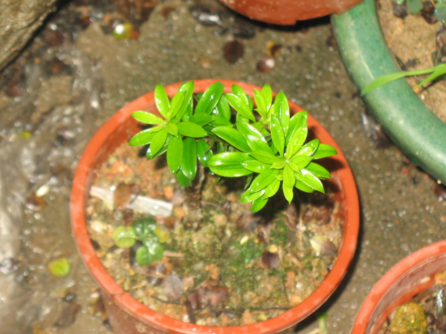 IMG_8600.JPG