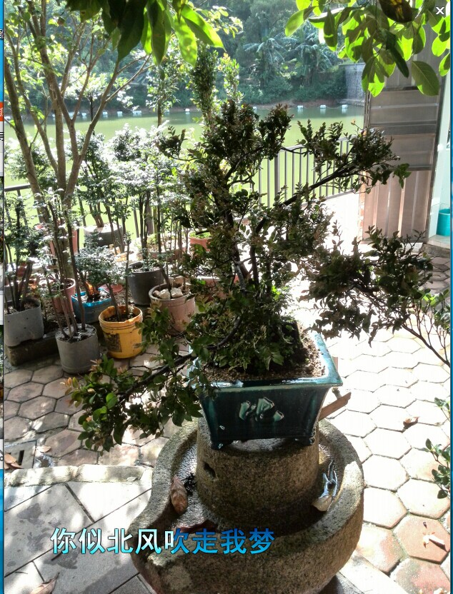 QQͼƬ20140620124453.jpg