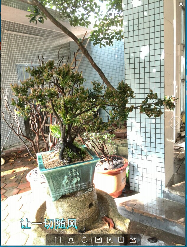 QQͼƬ20140620124513.jpg