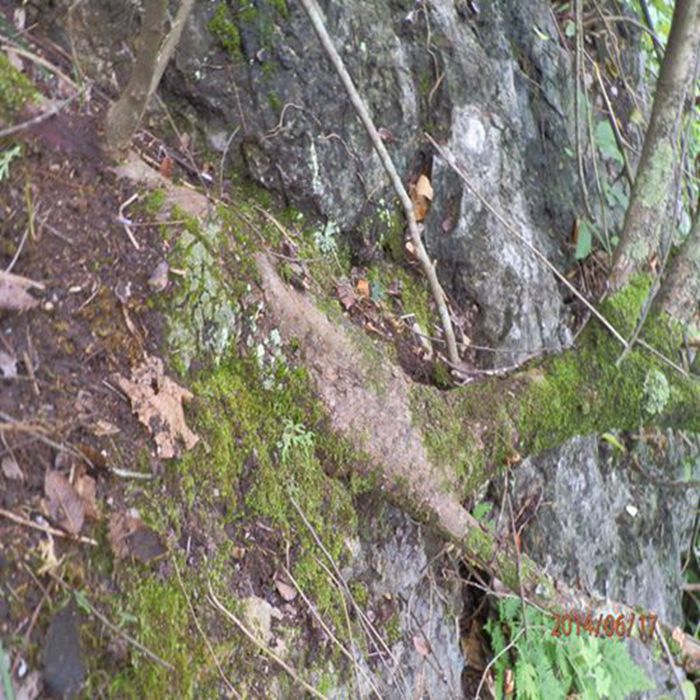 P6170690.JPG