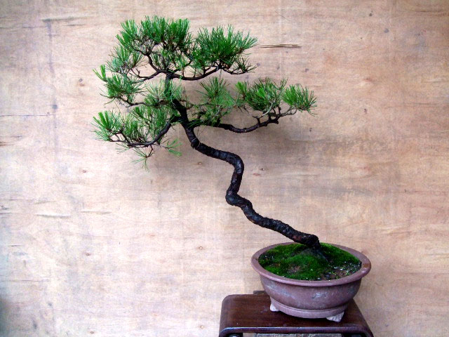 DSCF0142.JPG