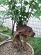 20140516_080355.jpg