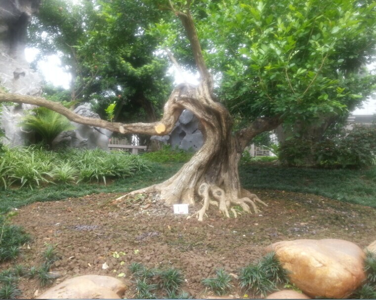 QQͼƬ20140623113607.jpg