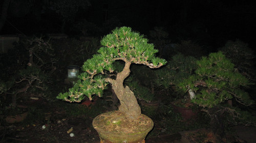 IMG_7556_.jpg
