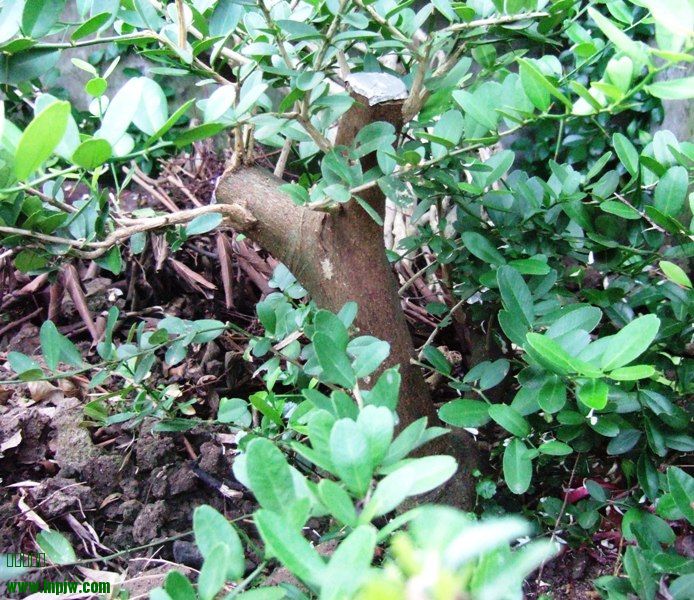DSCF5542.JPG