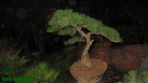 IMG_7570_.jpg