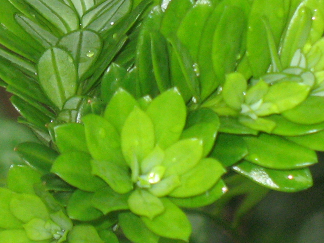 IMG_8658.JPG