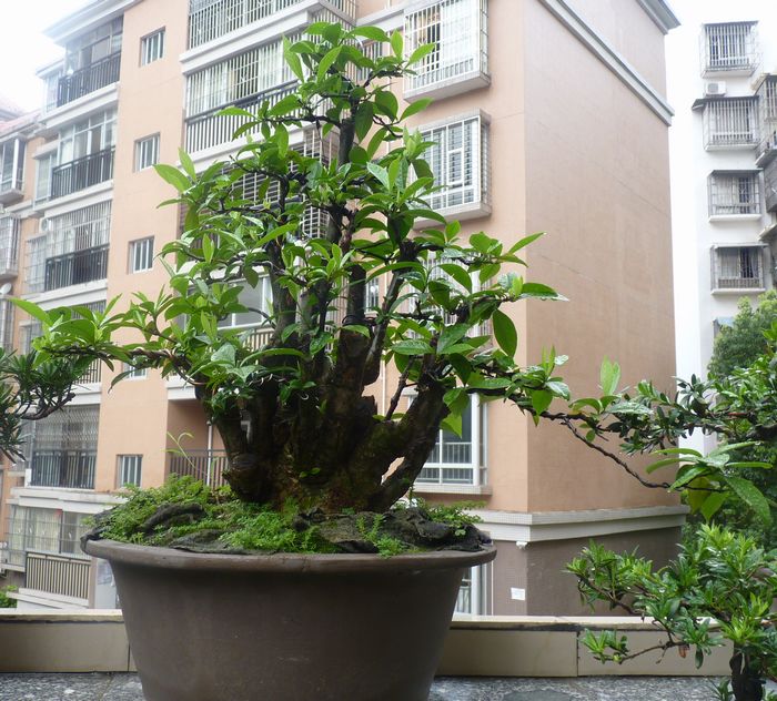 ӻ4.JPG