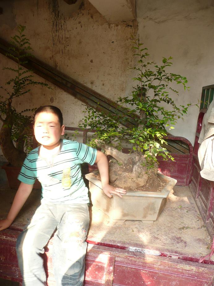 P1050601.JPG