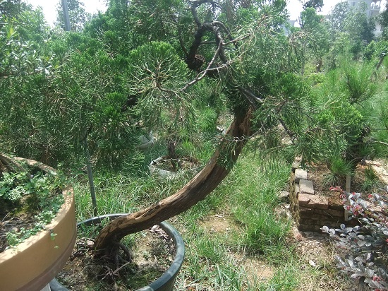 DSCF9583.JPG