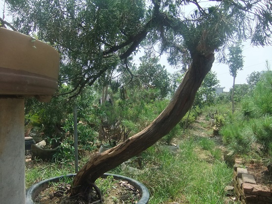 DSCF9584.JPG