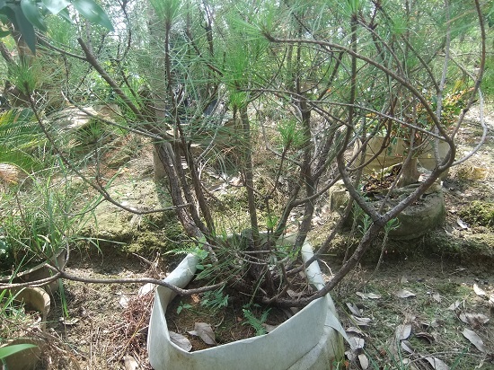DSCF9586.JPG
