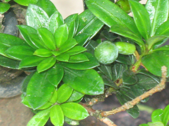 IMG_8691.JPG