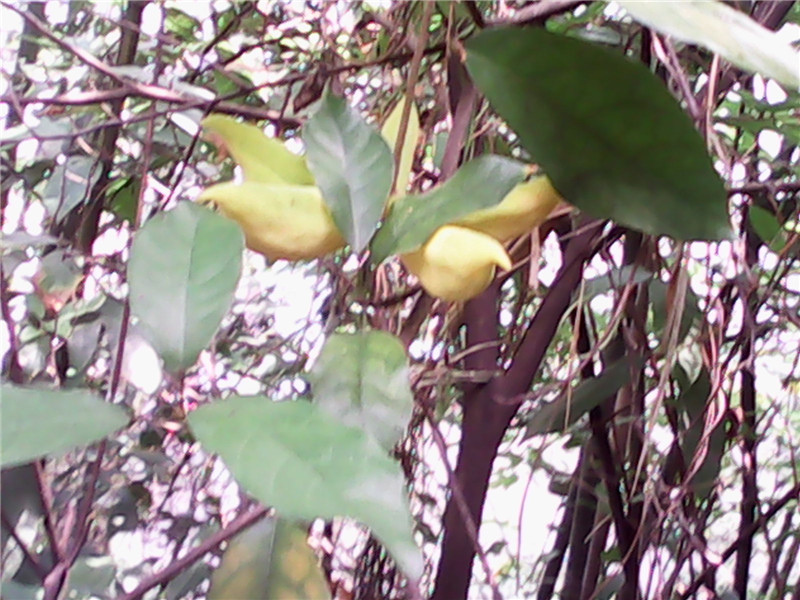 IMG_20140628_131029.jpg
