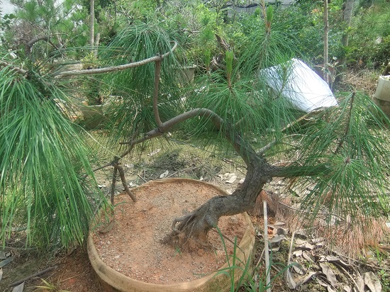 DSCF9593.JPG