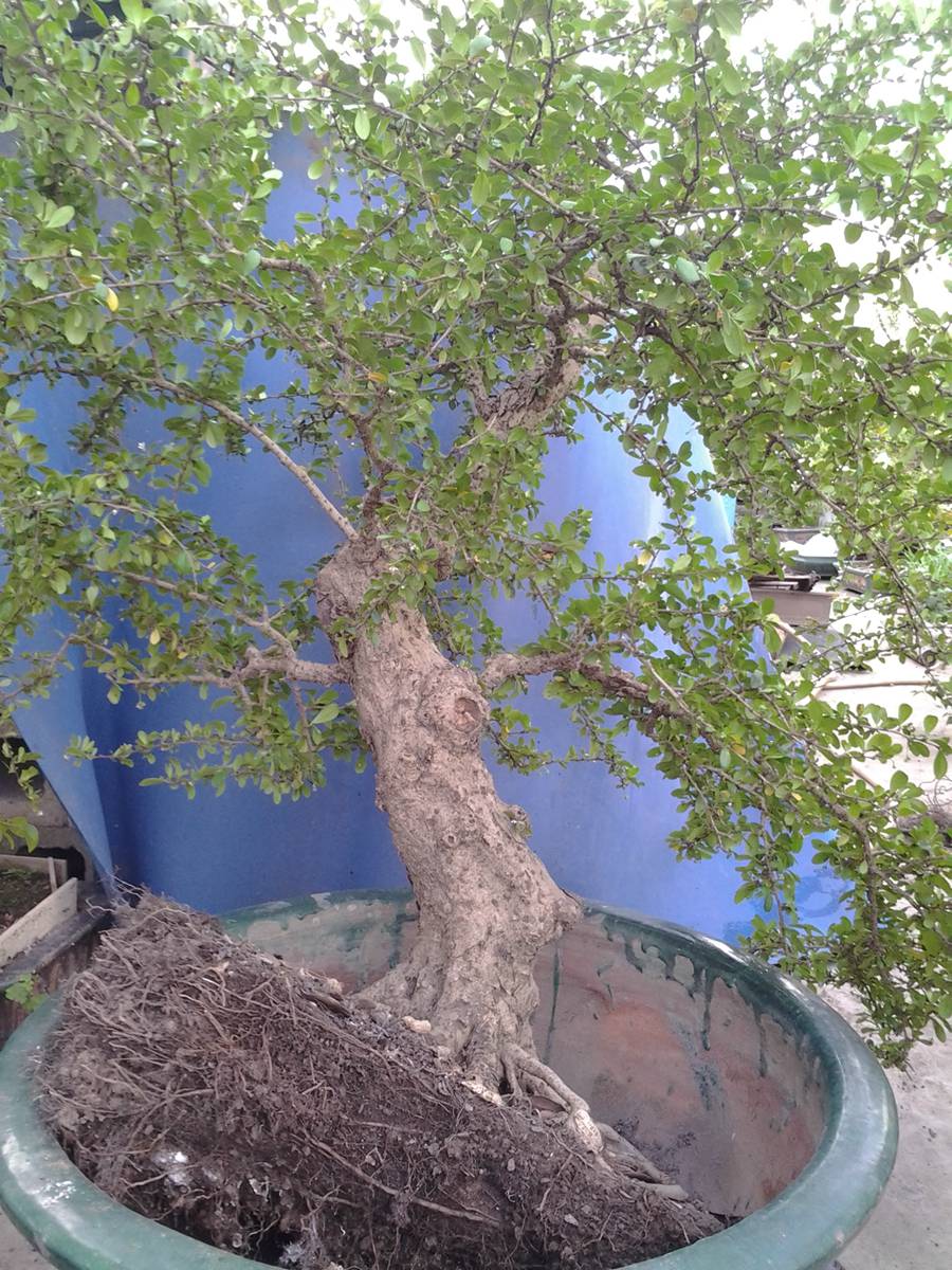 2014-06-28 17.21.10.jpg