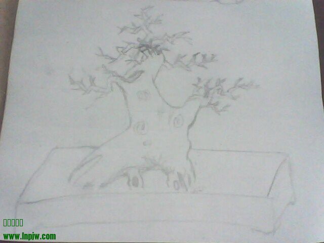 IMG1298A.jpg
