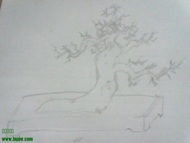IMG1299A.jpg
