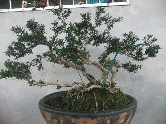 DSCF9613.JPG