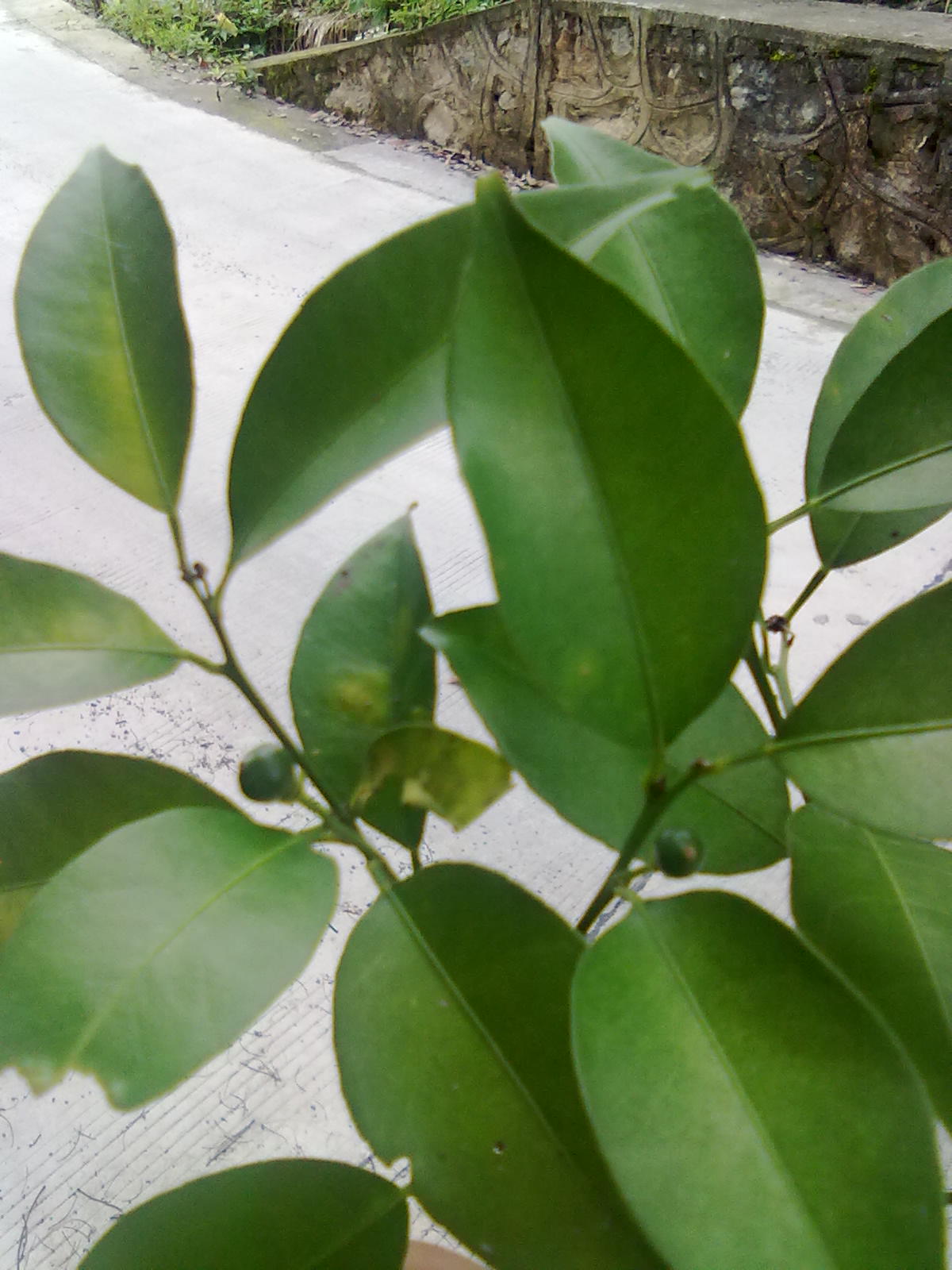 20140624022.jpg