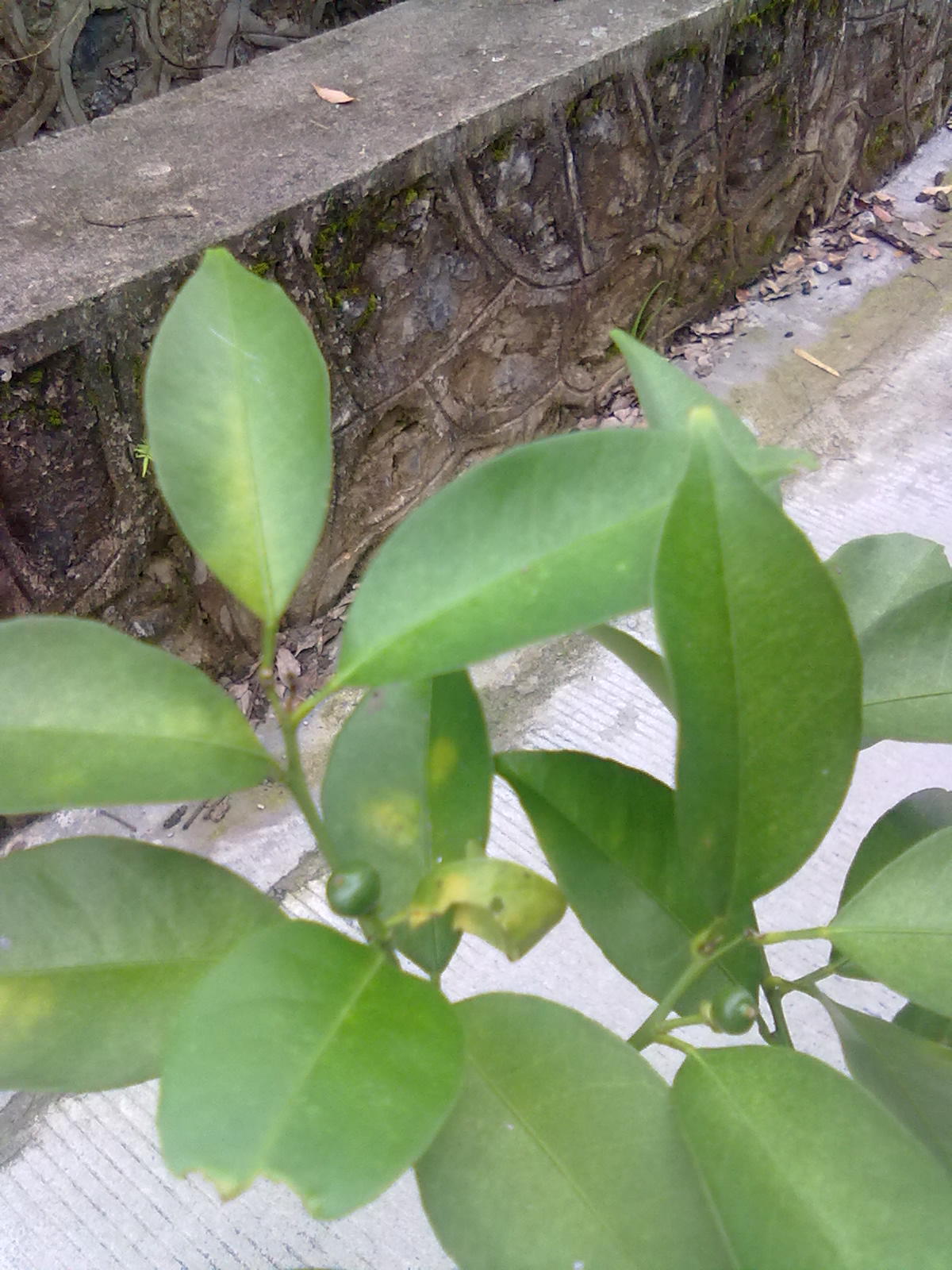 20140624023.jpg
