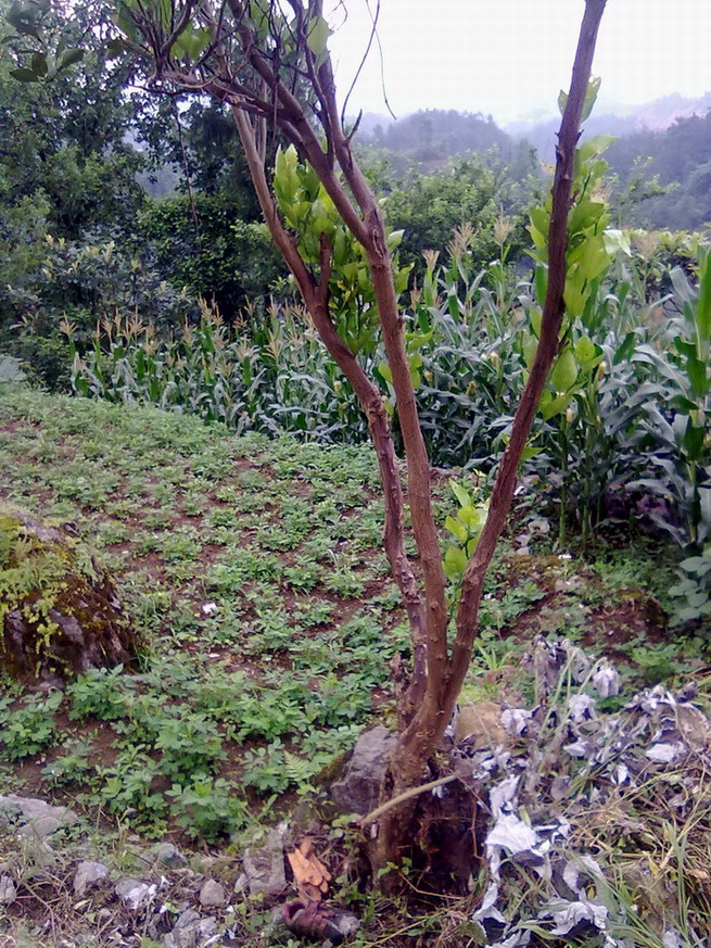 20140624026.jpg