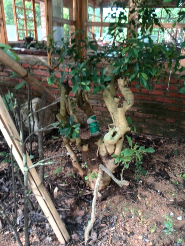 QQͼƬ20140630192826.jpg