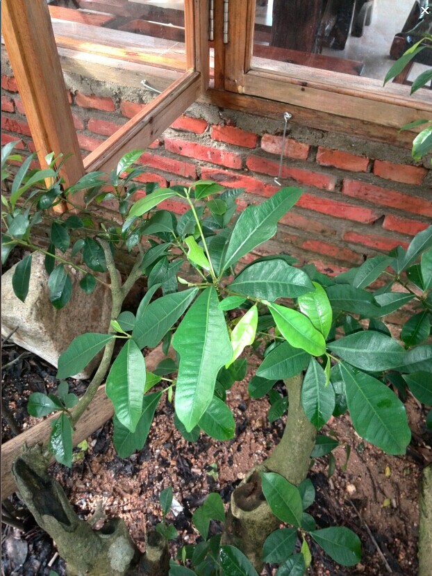 QQͼƬ20140630192813.jpg